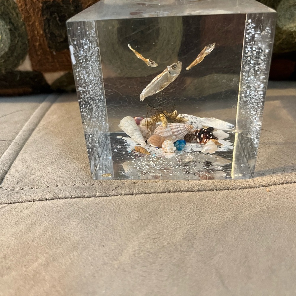Vintage 1960's Lucite Seashells Fish Aquarium Paperweight Square 3x3 Sculpture